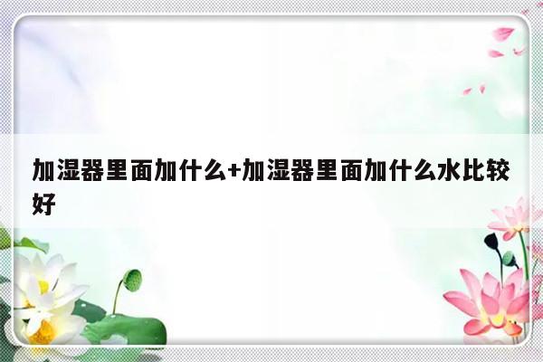 加湿器里面加什么+加湿器里面加什么水比较好