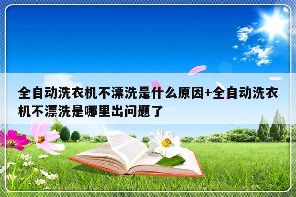 全自动洗衣机不漂洗是什么原因+全自动洗衣机不漂洗是哪里出问题了