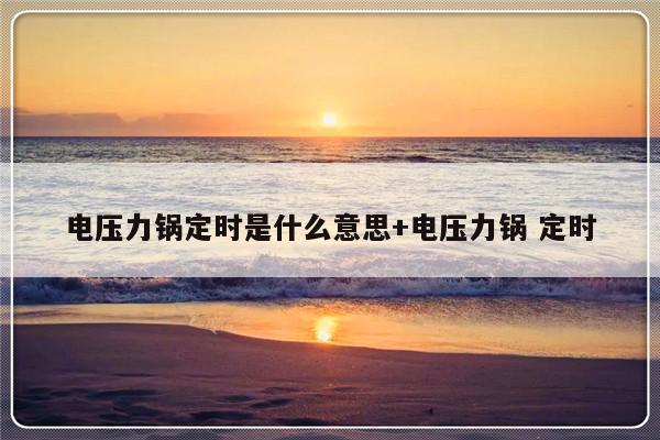 电压力锅定时是什么意思+电压力锅 定时