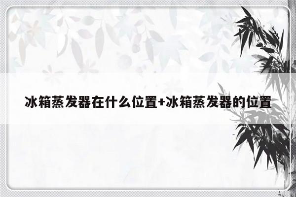 冰箱蒸发器在什么位置+冰箱蒸发器的位置