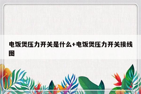 电饭煲压力开关是什么+电饭煲压力开关接线图