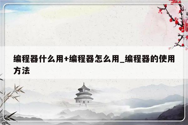 编程器什么用+编程器怎么用_编程器的使用方法
