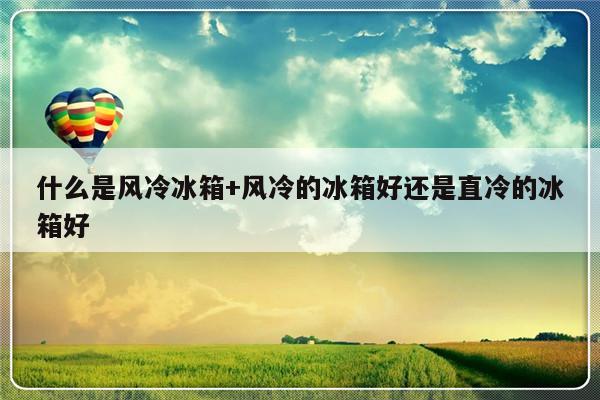 什么是风冷冰箱+风冷的冰箱好还是直冷的冰箱好