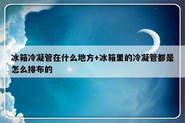 冰箱冷凝管在什么地方+冰箱里的冷凝管都是怎么排布的