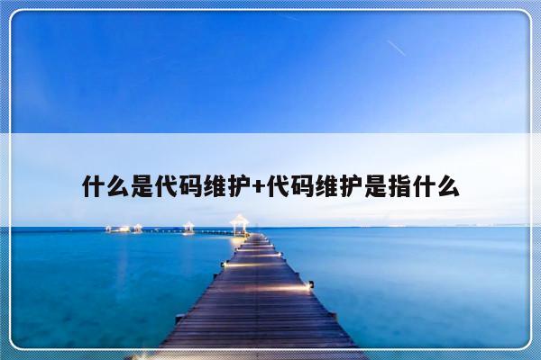 什么是代码维护+代码维护是指什么