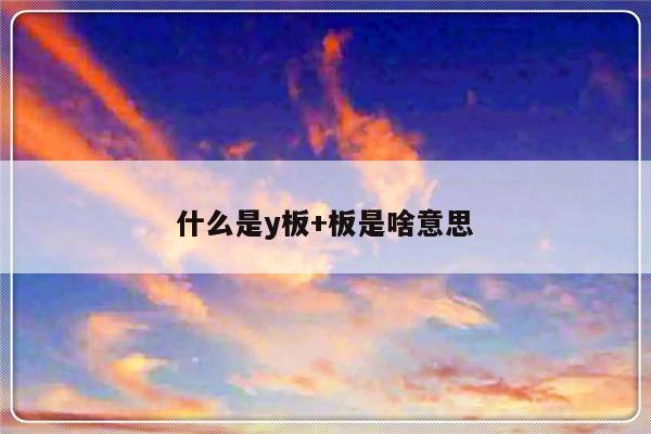什么是y板+板是啥意思