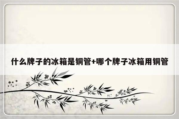 什么牌子的冰箱是铜管+哪个牌子冰箱用铜管