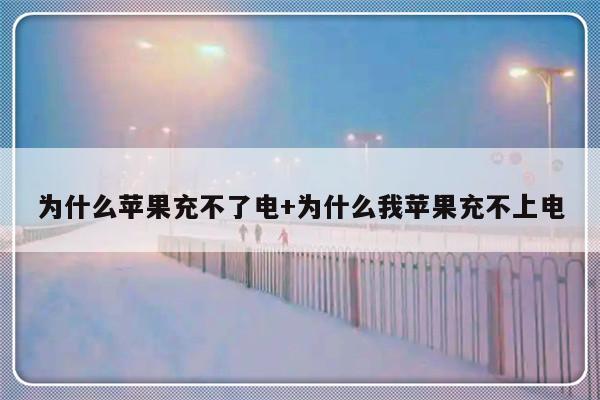 为什么苹果充不了电+为什么我苹果充不上电