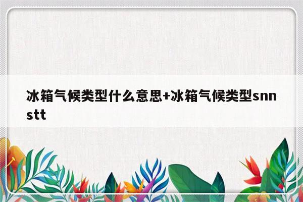 冰箱气候类型什么意思+冰箱气候类型snnstt