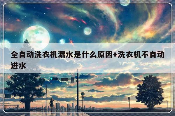 全自动洗衣机漏水是什么原因+洗衣机不自动进水