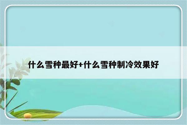 什么雪种最好+什么雪种制冷效果好