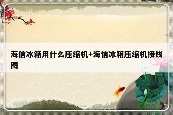 海信冰箱用什么压缩机+海信冰箱压缩机接线图