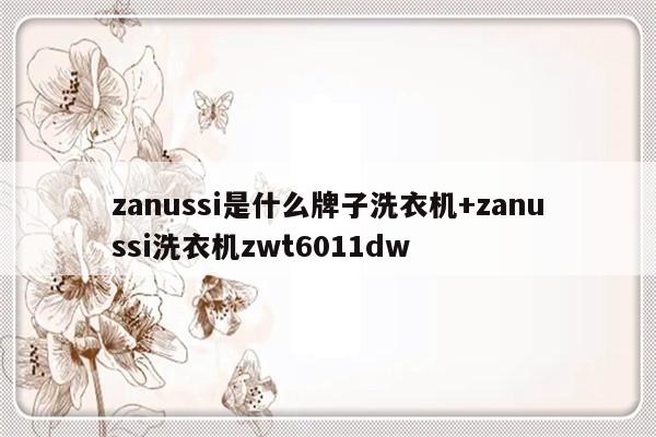 zanussi是什么牌子洗衣机+zanussi洗衣机zwt6011dw
