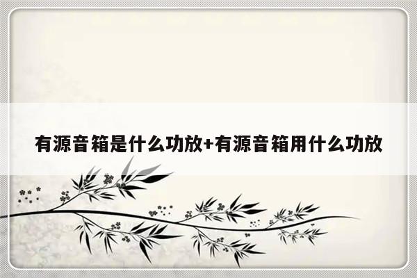 有源音箱是什么功放+有源音箱用什么功放