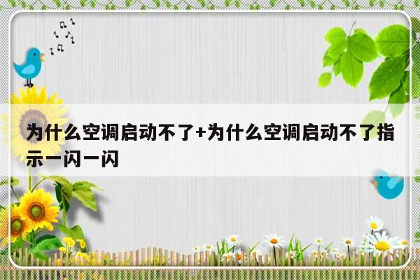 为什么空调启动不了+为什么空调启动不了指示一闪一闪