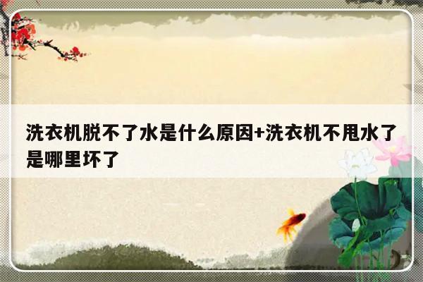 洗衣机脱不了水是什么原因+洗衣机不甩水了是哪里坏了