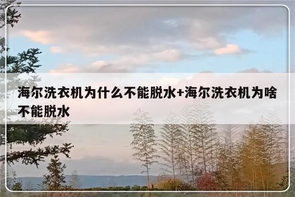 海尔洗衣机为什么不能脱水+海尔洗衣机为啥不能脱水