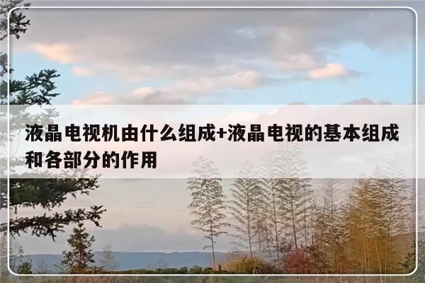 液晶电视机由什么组成+液晶电视的基本组成和各部分的作用