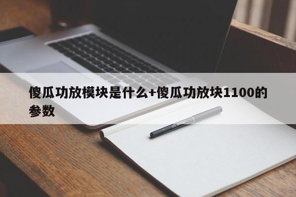 傻瓜功放模块是什么+傻瓜功放块1100的参数