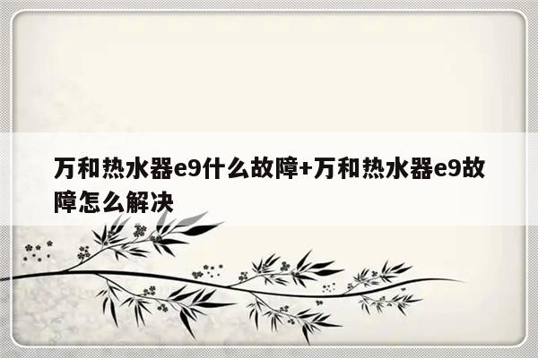 万和热水器e9什么故障+万和热水器e9故障怎么解决