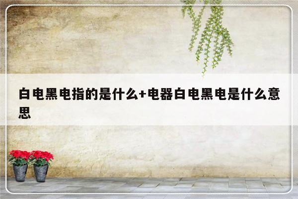 白电黑电指的是什么+电器白电黑电是什么意思