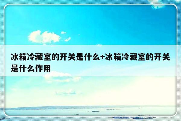 冰箱冷藏室的开关是什么+冰箱冷藏室的开关是什么作用