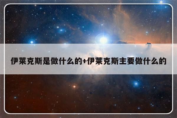 伊莱克斯是做什么的+伊莱克斯主要做什么的