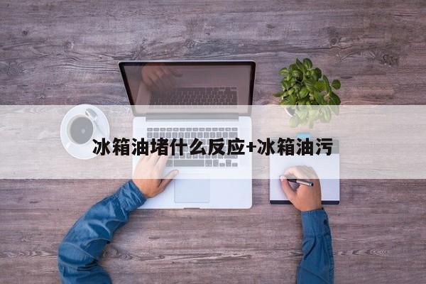 冰箱油堵什么反应+冰箱油污