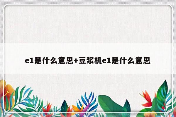 e1是什么意思+豆浆机e1是什么意思