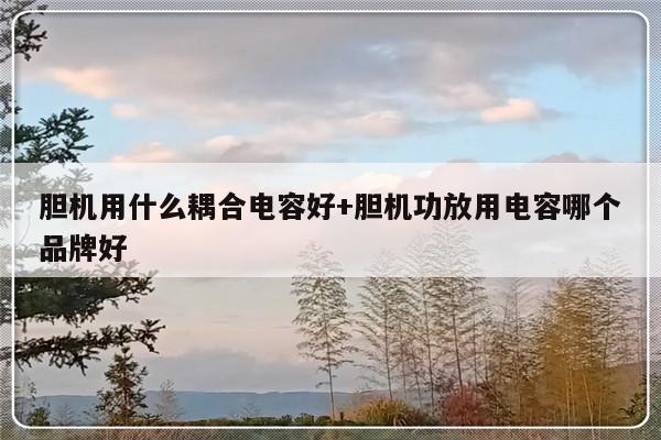 胆机用什么耦合电容好+胆机功放用电容哪个品牌好