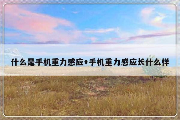 什么是手机重力感应+手机重力感应长什么样