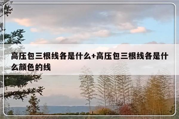 高压包三根线各是什么+高压包三根线各是什么颜色的线