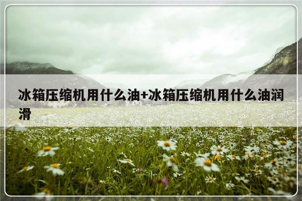 冰箱压缩机用什么油+冰箱压缩机用什么油润滑