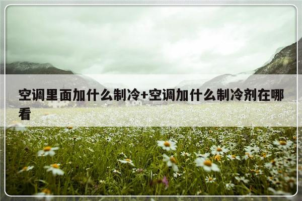 空调里面加什么制冷+空调加什么制冷剂在哪看