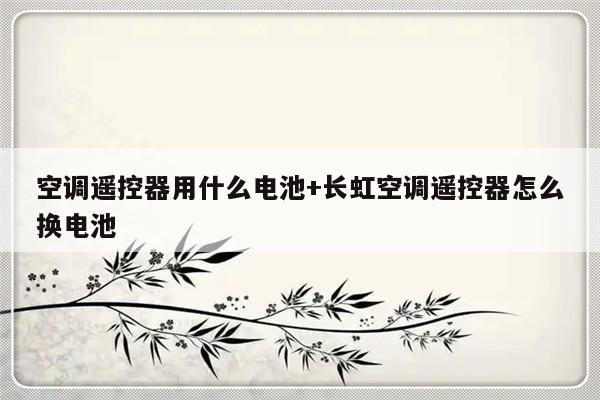 空调遥控器用什么电池+长虹空调遥控器怎么换电池