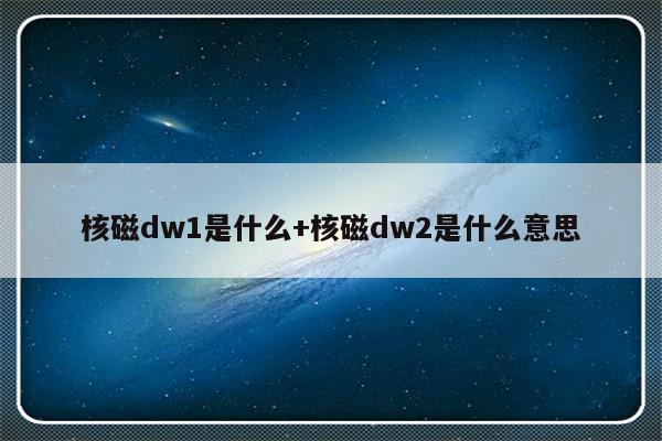 核磁dw1是什么+核磁dw2是什么意思