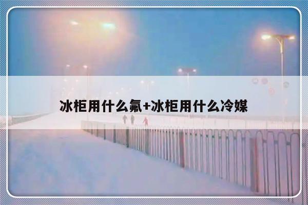 冰柜用什么氟+冰柜用什么冷媒
