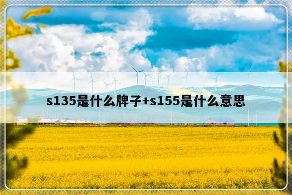 s135是什么牌子+s155是什么意思