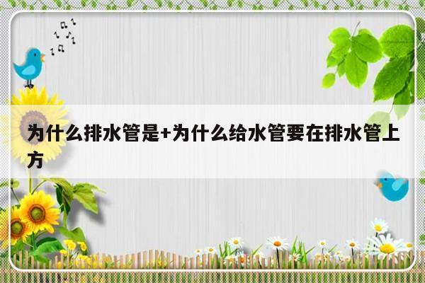 为什么排水管是+为什么给水管要在排水管上方