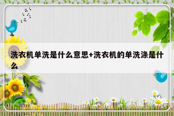 洗衣机单洗是什么意思+洗衣机的单洗涤是什么