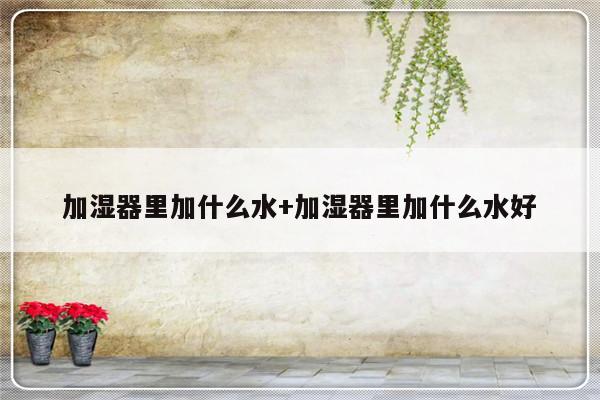 加湿器里加什么水+加湿器里加什么水好