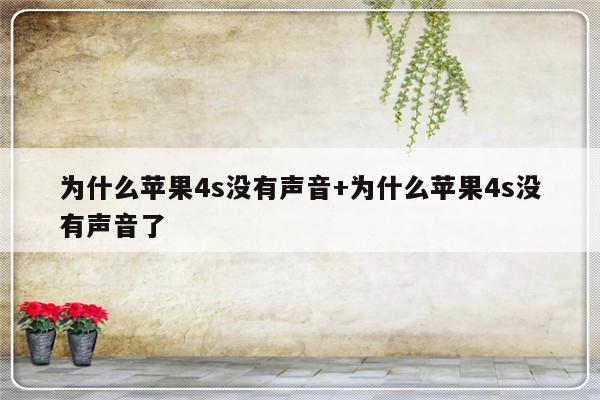 为什么苹果4s没有声音+为什么苹果4s没有声音了