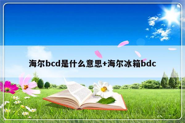 海尔bcd是什么意思+海尔冰箱bdc
