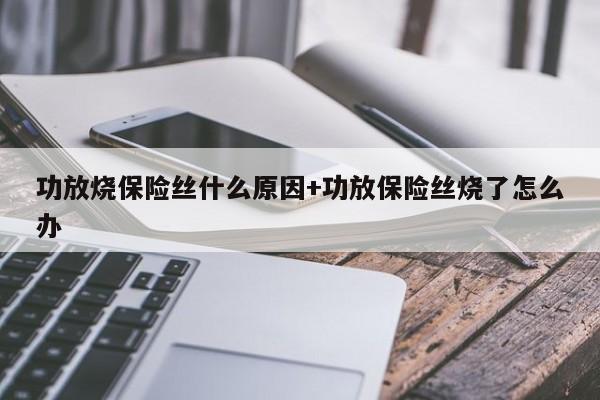 功放烧保险丝什么原因+功放保险丝烧了怎么办