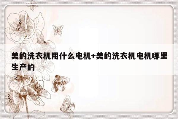 美的洗衣机用什么电机+美的洗衣机电机哪里生产的