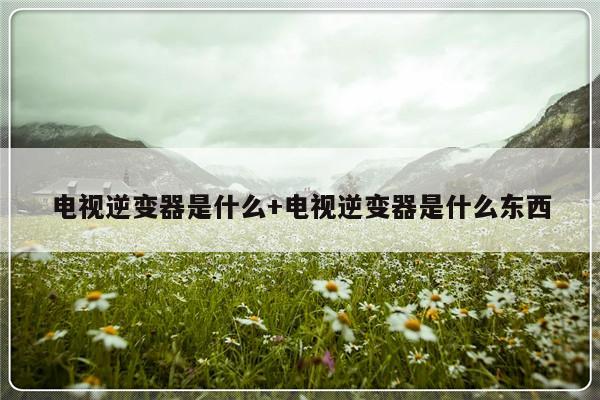 电视逆变器是什么+电视逆变器是什么东西