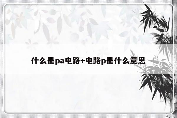 什么是pa电路+电路p是什么意思