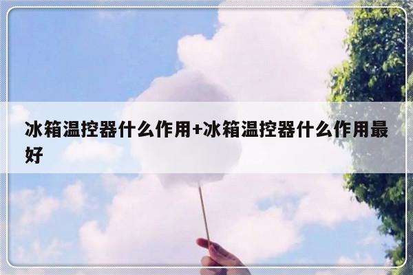 冰箱温控器什么作用+冰箱温控器什么作用最好