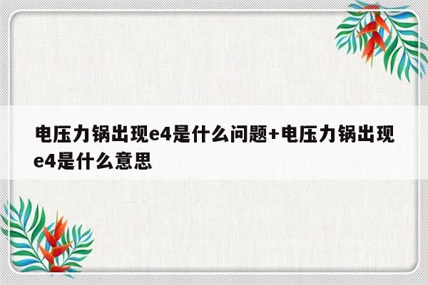 电压力锅出现e4是什么问题+电压力锅出现e4是什么意思