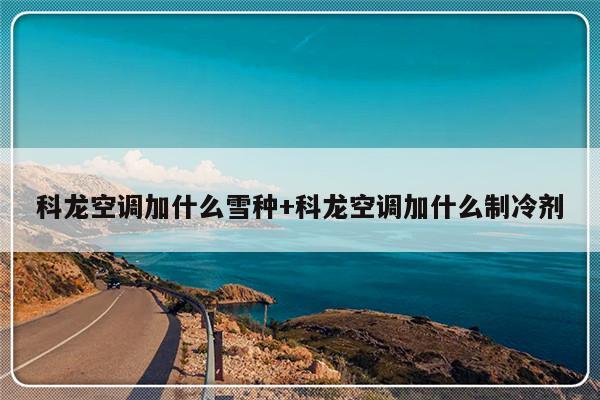科龙空调加什么雪种+科龙空调加什么制冷剂